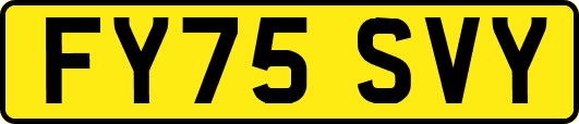 FY75SVY