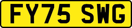 FY75SWG