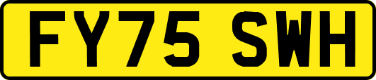 FY75SWH