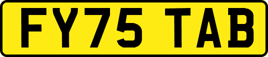 FY75TAB
