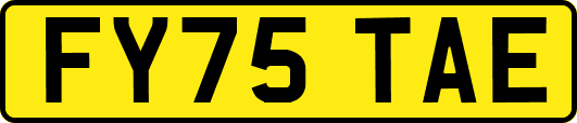 FY75TAE