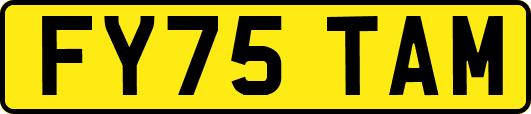 FY75TAM