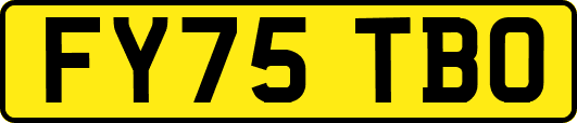 FY75TBO