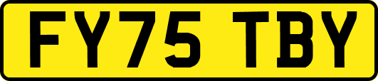 FY75TBY