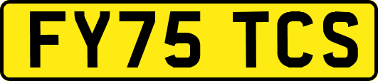 FY75TCS