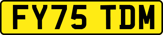 FY75TDM