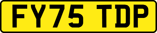 FY75TDP