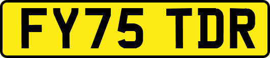 FY75TDR