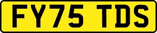 FY75TDS