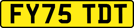 FY75TDT