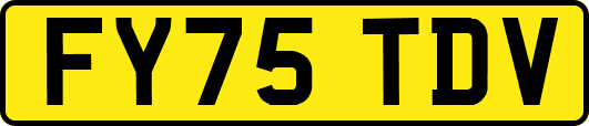 FY75TDV