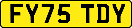 FY75TDY