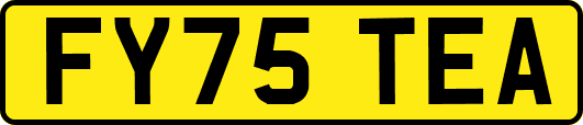 FY75TEA