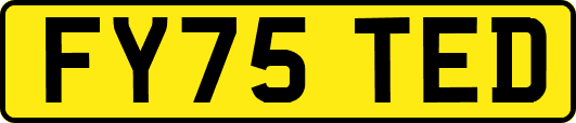 FY75TED
