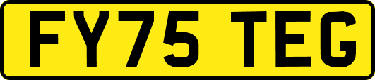 FY75TEG