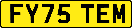 FY75TEM