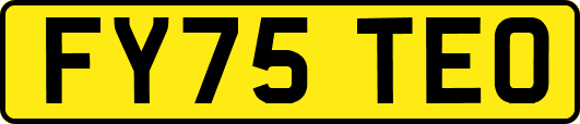 FY75TEO
