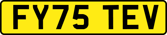 FY75TEV