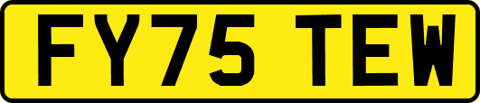 FY75TEW
