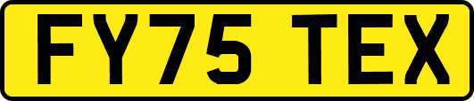 FY75TEX