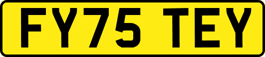 FY75TEY