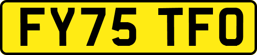 FY75TFO