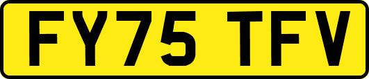 FY75TFV