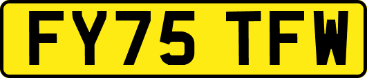 FY75TFW