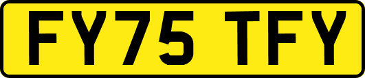 FY75TFY