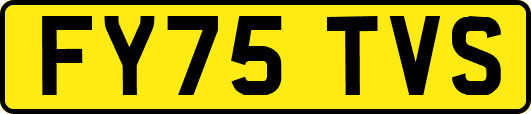 FY75TVS
