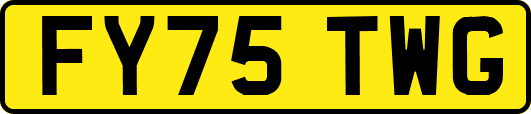 FY75TWG