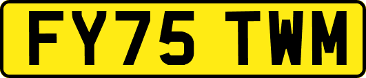 FY75TWM