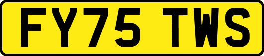 FY75TWS