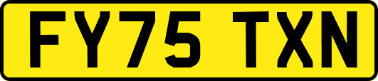 FY75TXN