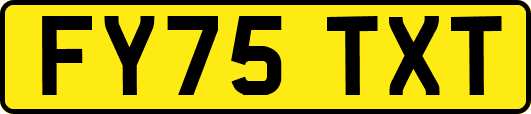 FY75TXT