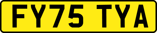 FY75TYA