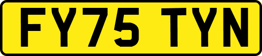 FY75TYN