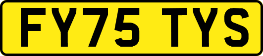 FY75TYS