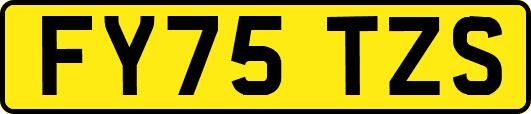 FY75TZS