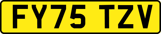 FY75TZV
