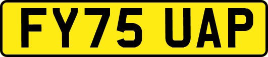 FY75UAP