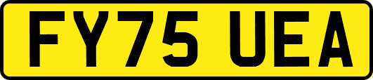 FY75UEA