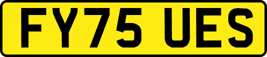 FY75UES