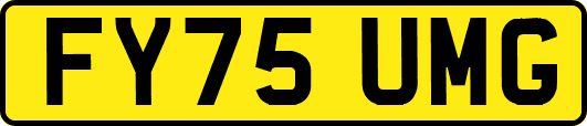 FY75UMG