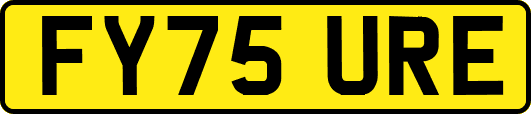 FY75URE