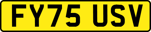 FY75USV