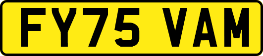 FY75VAM