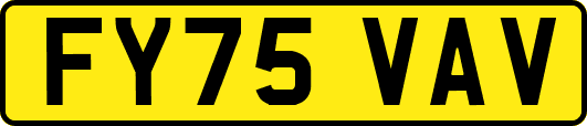 FY75VAV