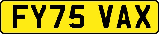 FY75VAX