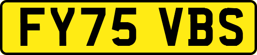 FY75VBS
